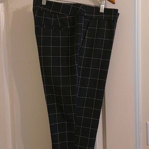 Loft Pants for Women Size 10